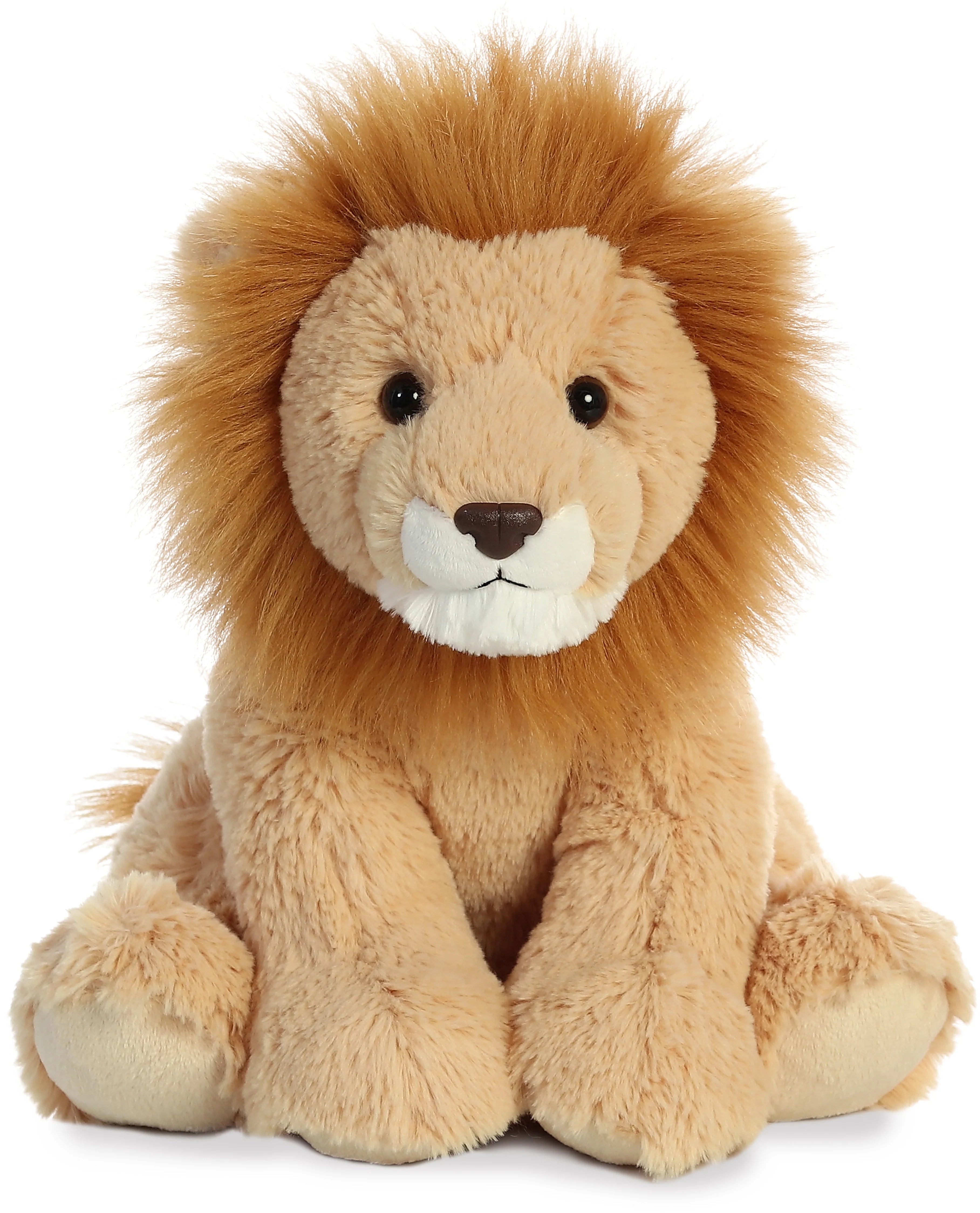 50264Lion.webp