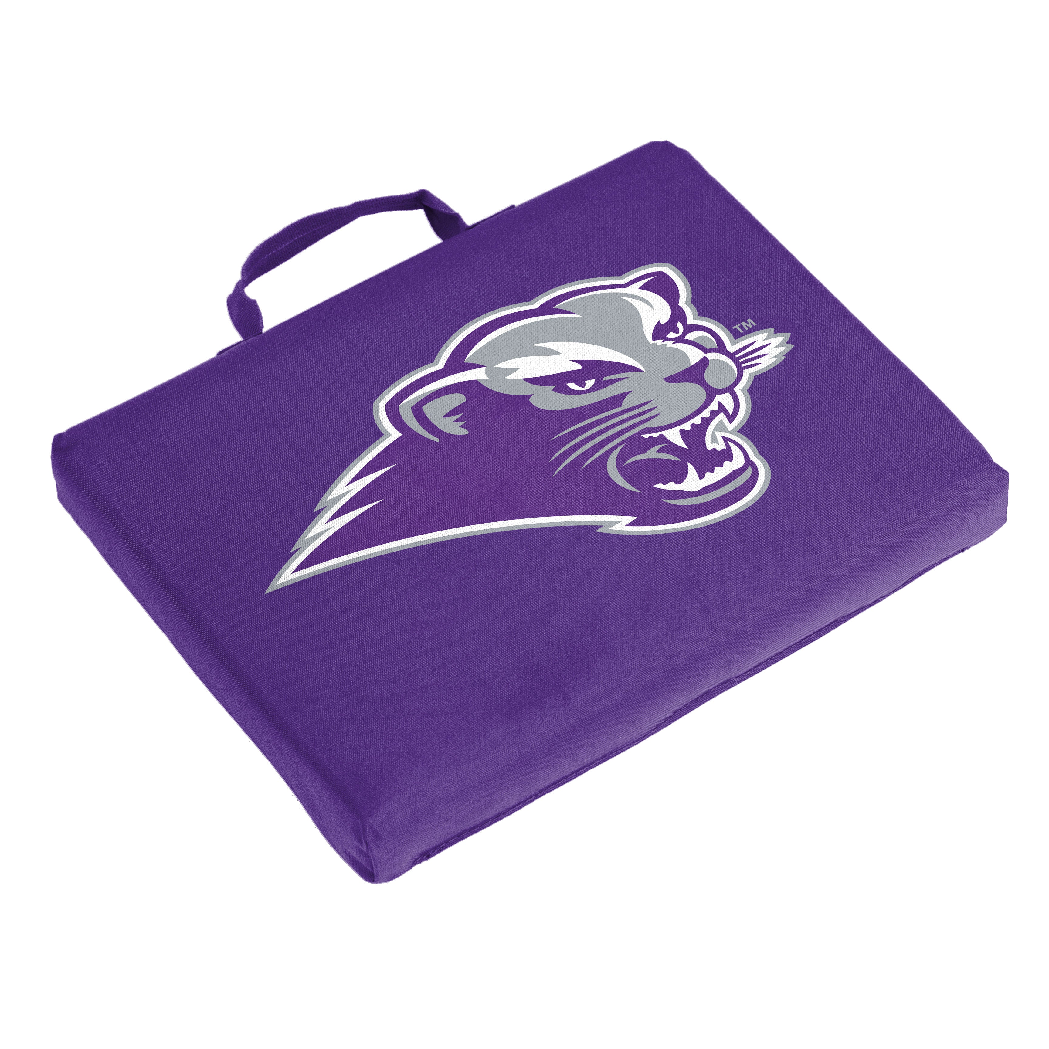 Bleacher Cushion |